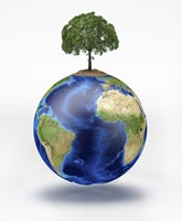 Planet Earth with a Tree Growing on Top Fine Art Print