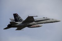 Swiss Air Force F-18C Hornet used for Air Policing Fine Art Print