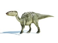 3D Rendering of an Edmontosaurus Dinosaur Fine Art Print
