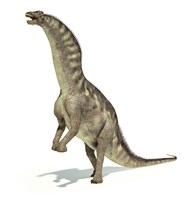 Amargasaurus Dinosaur in Dynamic Posture Fine Art Print