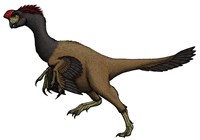 Citipati, an Oviraptorid from the Cretaceous Period Fine Art Print