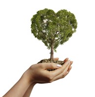 Woman's Hands holding Soil with a Tree Heart Shaped Fine Art Print