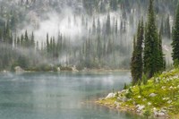 Fog and Rain on Lake Eva, Revelstoke National Park, British Columbia, Canada Fine Art Print