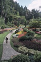 Sunken Garden at Butchart Gardens, Vancouver Island, British Columbia, Canada Fine Art Print