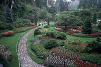 The Butchart Gardens, Vancouver Island, British Columbia, Canada Fine Art Print