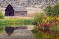 Haynes Ranch Buildings Preservation Project, Osoyoos, BC, Canada Fine Art Print