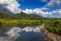 Beaver pond along the Flathead River near Fernie, British Columbia, Canada by Chuck Haney - various sizes