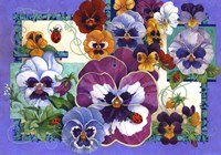 Pansy Mania Fine Art Print