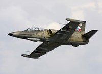 An Aero L-39ZA Albatros Trainer Aircraft of the Czech Air Force Fine Art Print