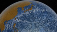This Visualization Shows Ocean Surface Currents of the Kuroshio Current Fine Art Print