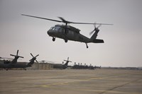 A UH-60 Black Hawk Taking off for a Mission Over Northern Iraq Fine Art Print