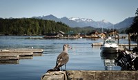 British Columbia, Vancouver Island, Strathcona Park, Harbor Fine Art Print