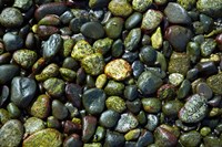 Patterns, Rebecca Spit, Quadra Isl, British Columbia Fine Art Print