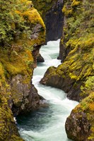 River, Vancouver Island, British Columbia Fine Art Print