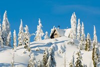 Mountain cabin, Seymour Mountain, British Columbia Fine Art Print