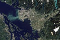 Satellite view of the Frasier River, British Columbia, Canada Fine Art Print