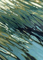 Desert Oasis Fine Art Print