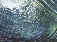 Underwater Movement Fine Art Print