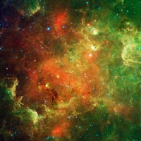 Clusters of Young Stars in the North American Nebula Fine Art Print