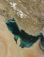 Satellite view of the Persian Gulf Fine Art Print