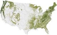 Map of the United States Showing the Concentration of Biomass Fine Art Print