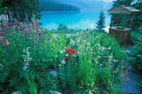 Emerald Lake, Yoho National Park, British Columbia Fine Art Print