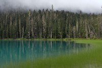 Blue glacial lake, evergreen forest, British Columbia Fine Art Print