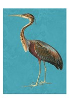 Tall Bird 1 Fine Art Print