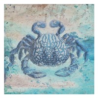 Sea Crab Framed Print