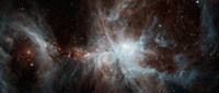 A Colony of Hot young Stars in the Orion Nebula Fine Art Print