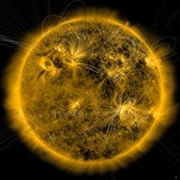 Magnetic Field lines on the Sun Fine Art Print