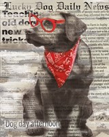 Lucky Dog Framed Print