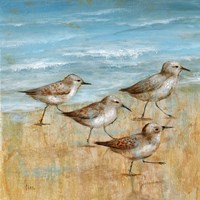 Sandpipers I Fine Art Print