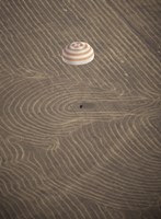 The Soyuz TMA-14 Spacecraft in Descent Fine Art Print