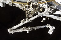 The Canadian-Built Space Station Remote Manipulator System (Canadarm2), during Undocking AWctivities Fine Art Print
