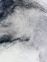 Sea Ice in the Southern Ocean