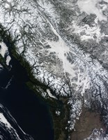 Fog and Snow in British Columbia Fine Art Print