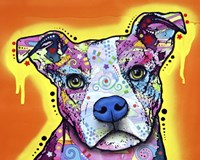 A Serious Pit Fine Art Print