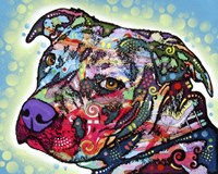 Bulls Eye Fine Art Print