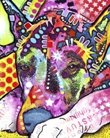 Lying Dane Fine Art Print