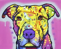 Focused Pit Fine Art Print