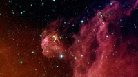 Young Stars Emerge from Orion's Head Fine Art Print