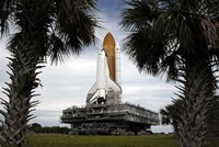 Palmetto Trees Frame Space Shuttle Endeavour as it Rolls Toward the Launch Pad Fine Art Print