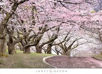 Blossom Hill by James Gordon - 36" x 26"