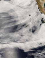 Guadalupe Island, off the Coast of Mexico's Baja Peninsula Fine Art Print