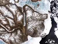 Sea Ice lines the Shoreline in Eastern Greenland Fine Art Print