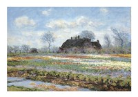 Tulip Fields at Sassenheim Fine Art Print