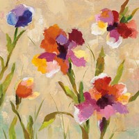 Bold Bright Flowers III Fine Art Print