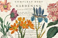 Botany Fine Art Print