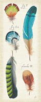 Ornithology III Panel Fine Art Print